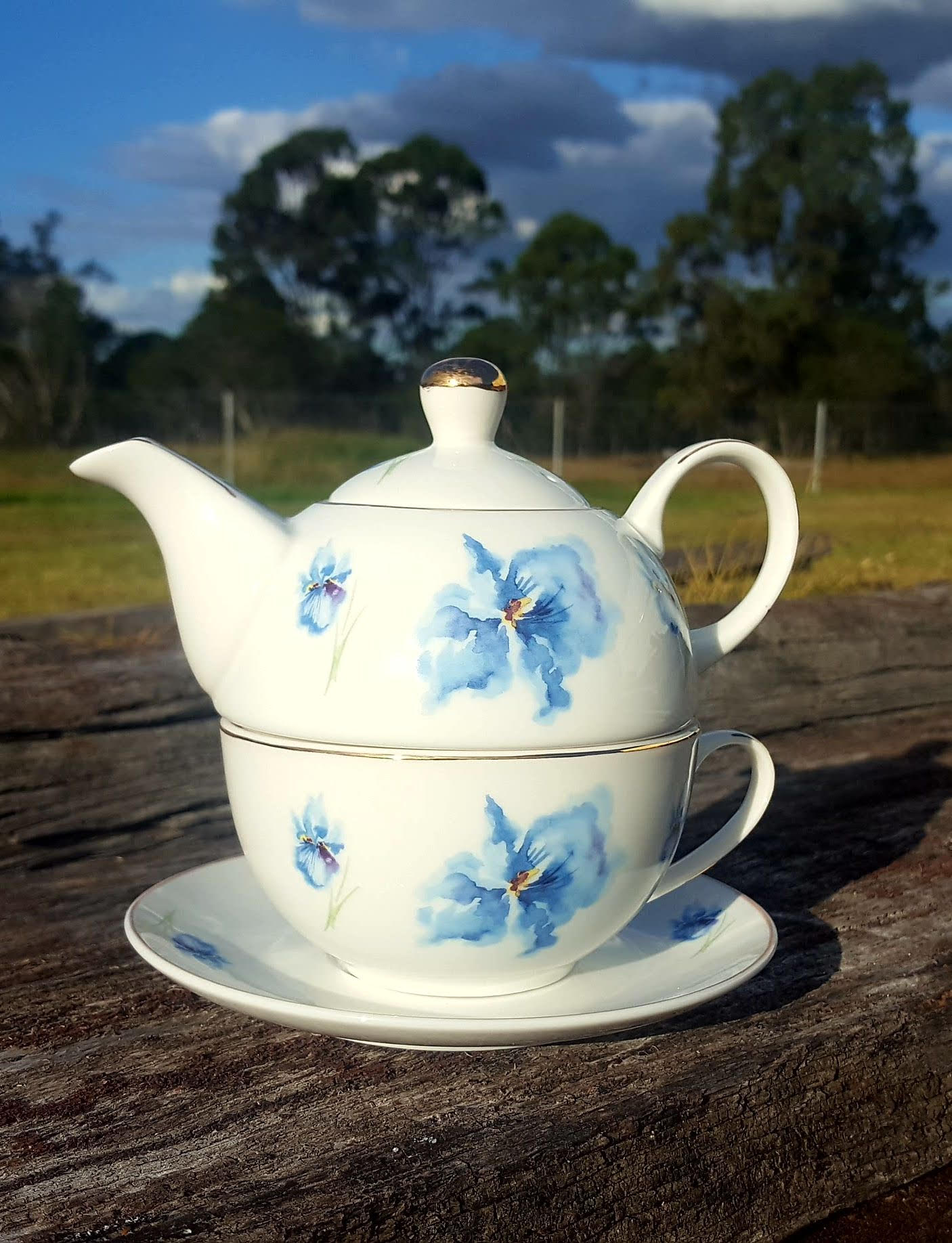 Blue Iris Tea for One (Custom)