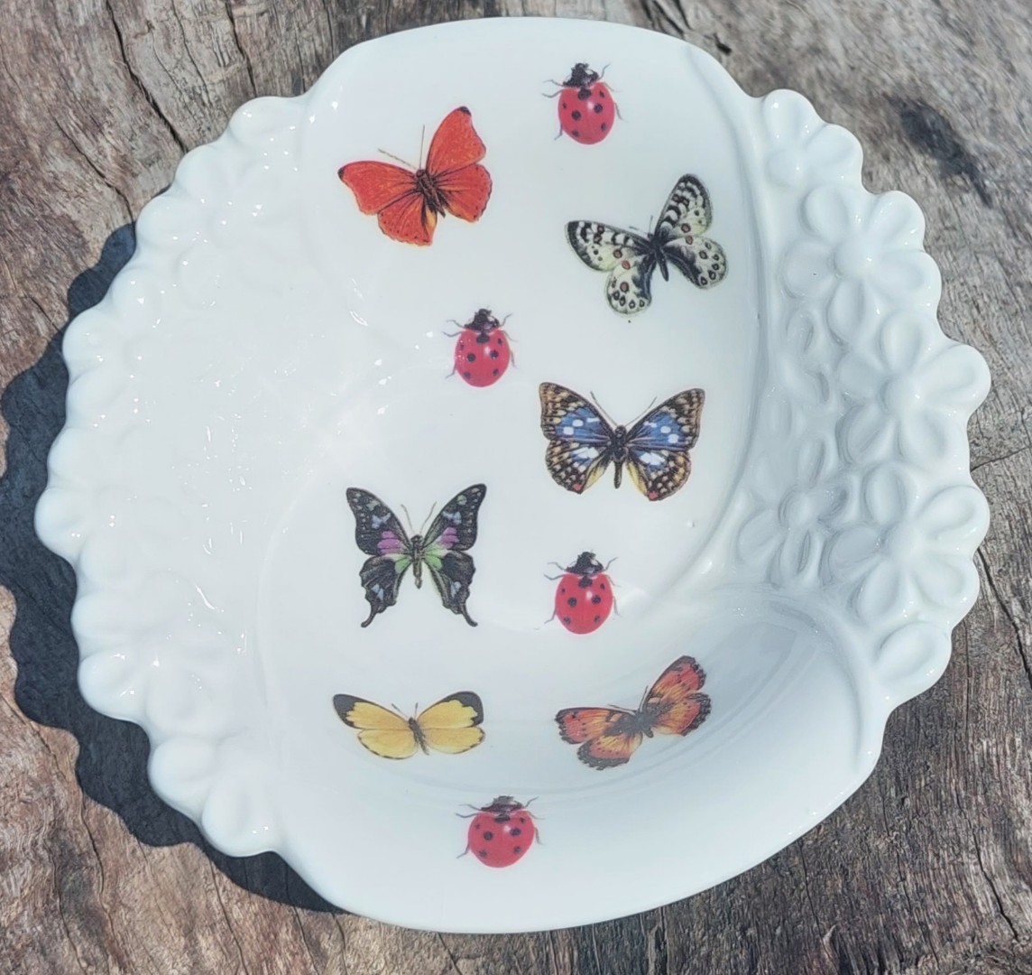 Butterfly and Beetles Bowl (Custom)