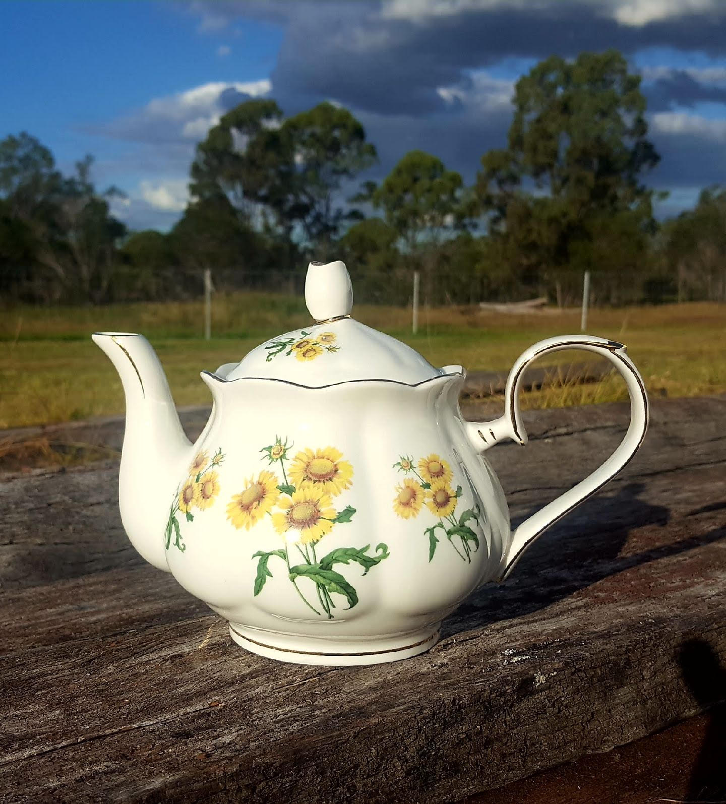 Sunshine Blanket 4 Cup teapot (Custom)
