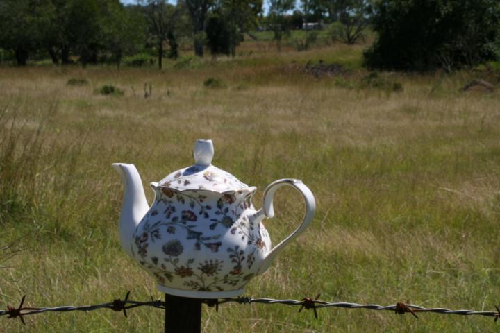 Jennibelle 4 cup Teapot - Click Image to Close