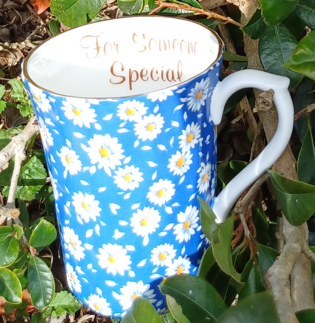 for someone special blue Daisy Swirl Mug (Custom)