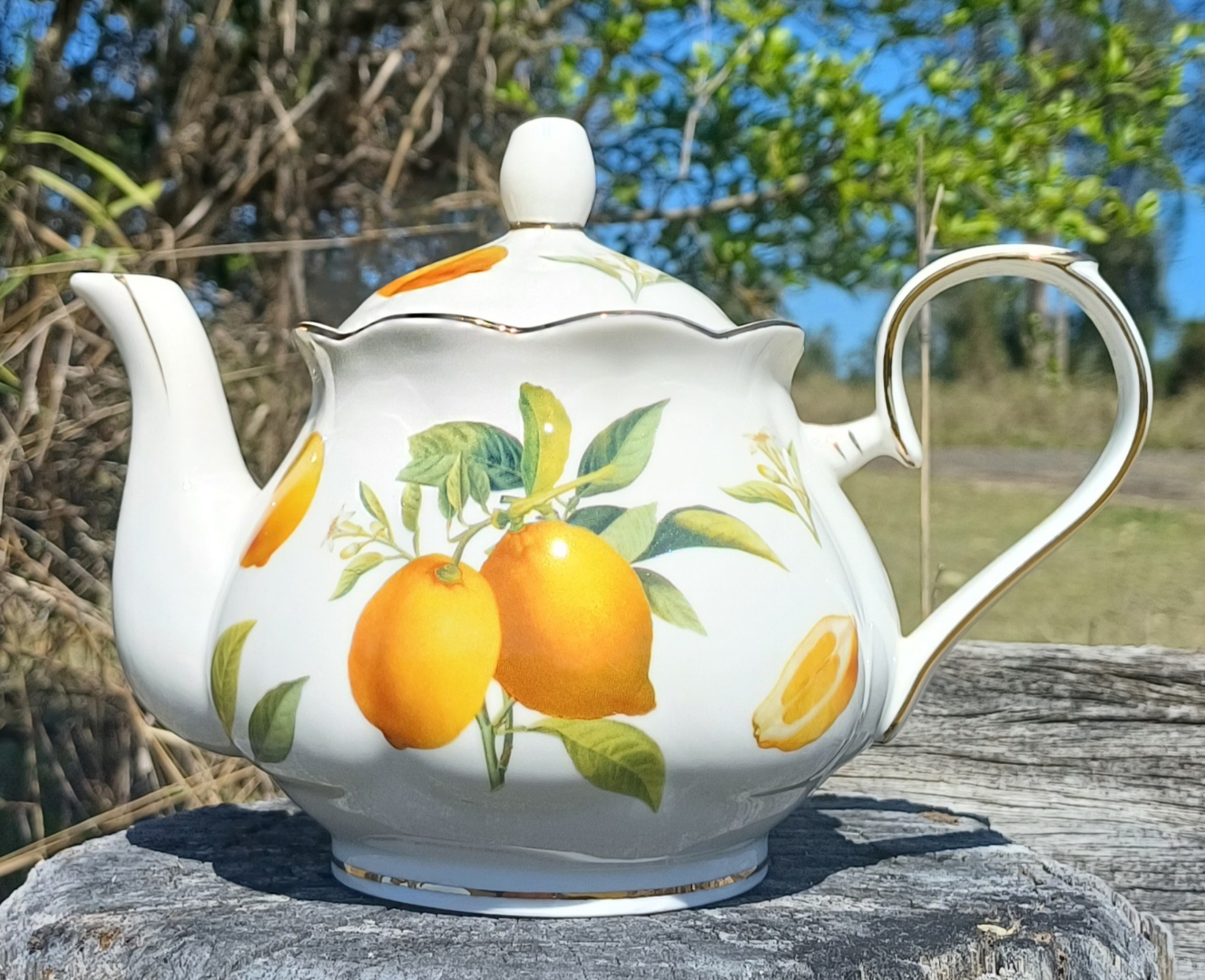 Lemon Garden Teapot Custom