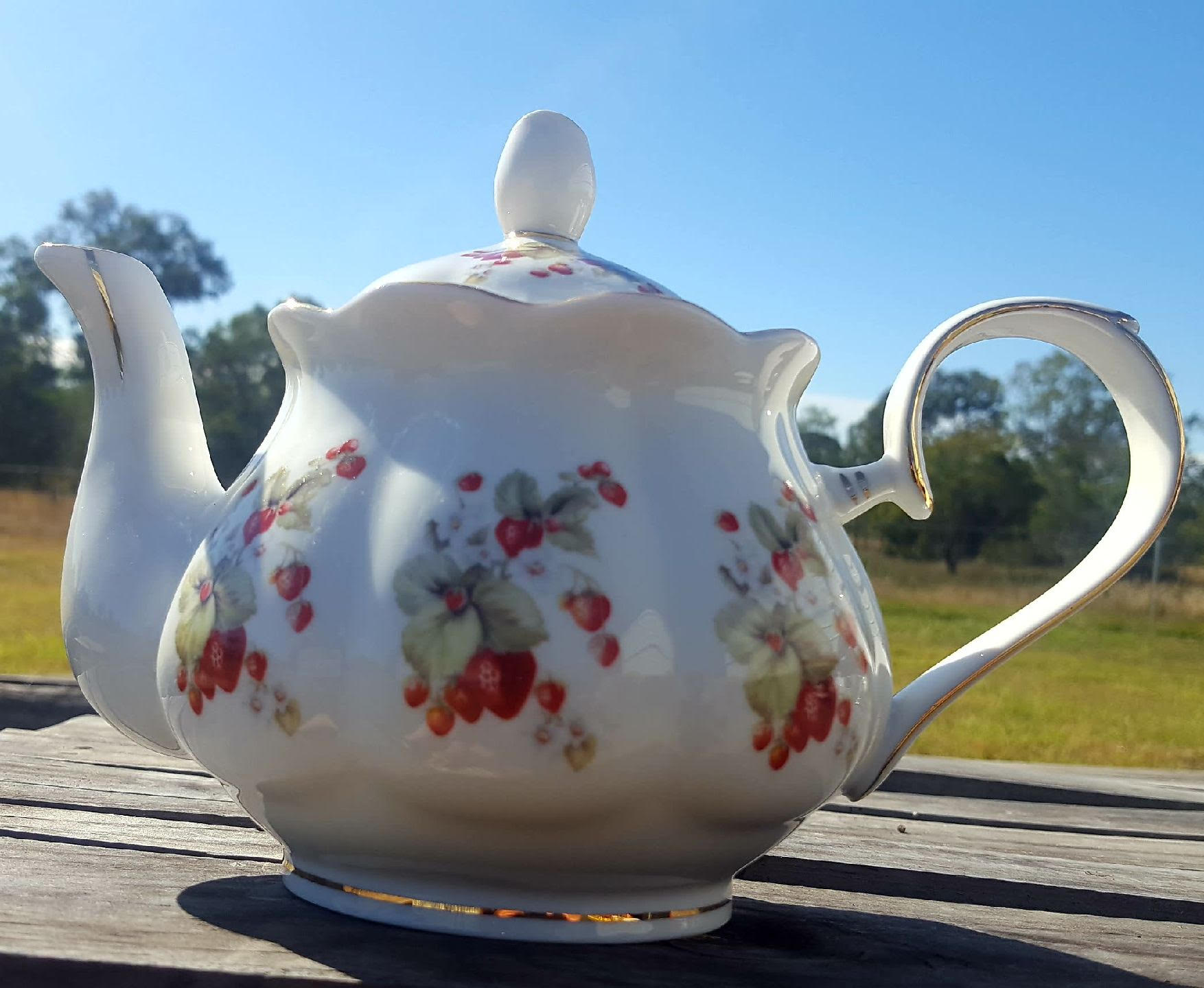 Strawberry Garden Custom 4 Cup Teapot (Custom)