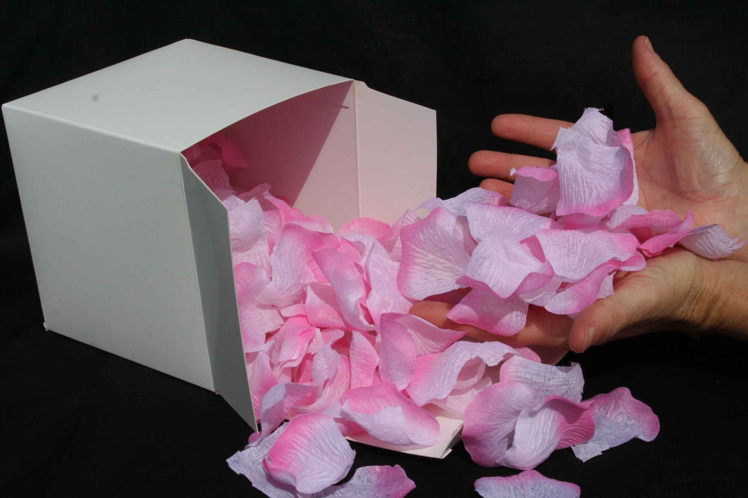 Rose Pedals Pink