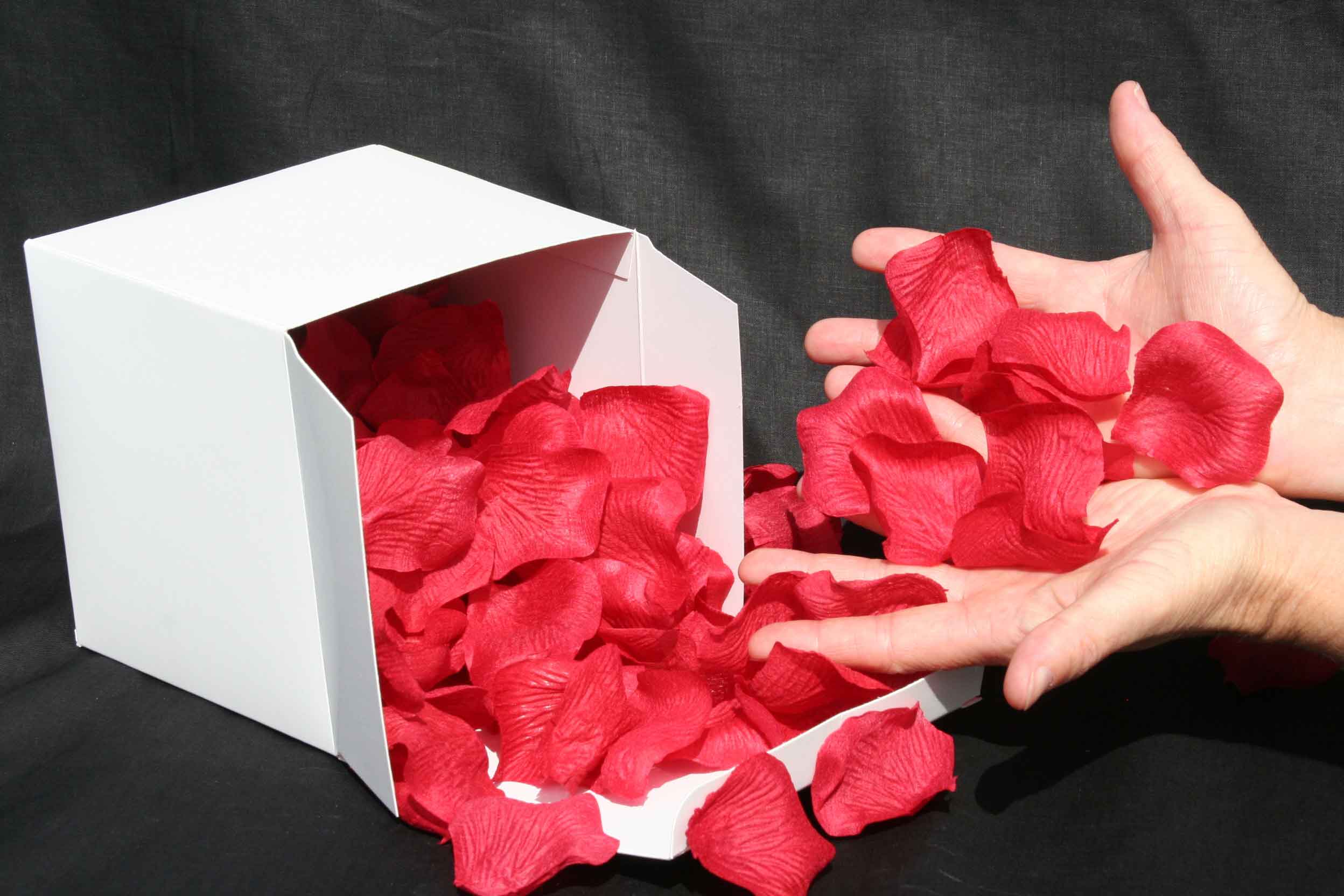 Rose Pedals Red